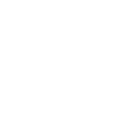 Lynna Cosmetics
